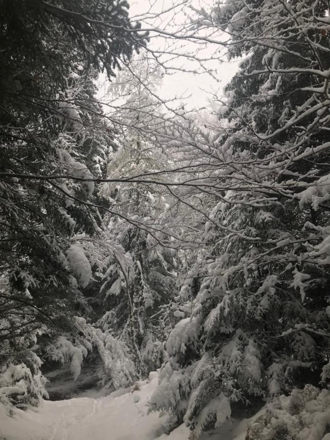 La Source D'En Haut Valcivieres ภายนอก รูปภาพ